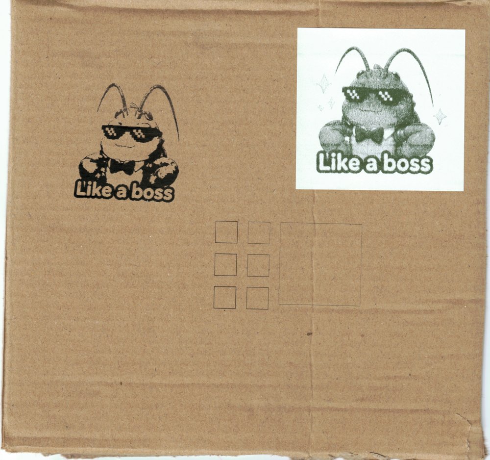 The whole afternoon on one box flap.